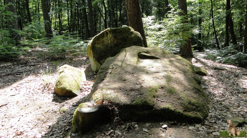 Ritterstein Nr. 145-2 Horterkopf Schanze 1793-94.JPG - Ritterstein Nr.145  Horterkopf Schanze 1793-94                               